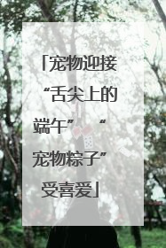 宠物迎接“舌尖上的端午” “宠物粽子”受喜爱