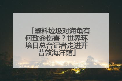 塑料垃圾对海龟有何致命伤害？世界环境日总台记者走进开普敦海洋馆