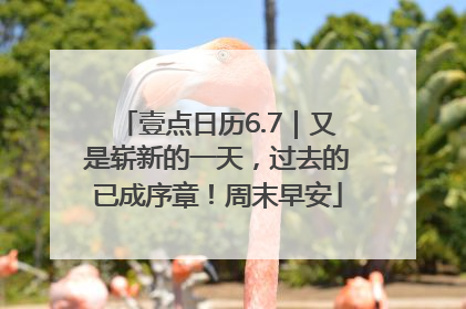 壹点日历6.7｜又是崭新的一天，过去的已成序章！周末早安