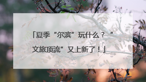 夏季“尔滨”玩什么？“文旅顶流”又上新了！