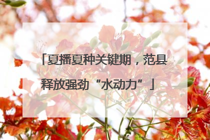夏播夏种关键期，范县释放强劲“水动力”