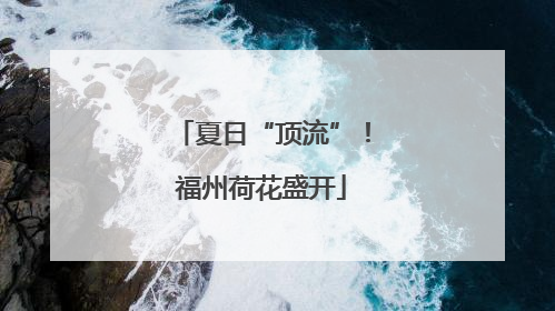 夏日“顶流”！福州荷花盛开