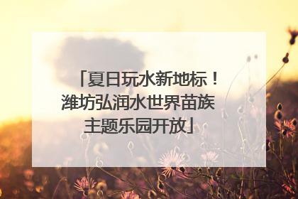 夏日玩水新地标！潍坊弘润水世界苗族主题乐园开放