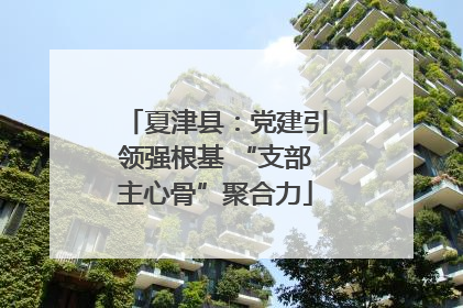 夏津县：党建引领强根基 “支部主心骨”聚合力