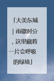 大美东城｜雨歇时分，这里藏着一片会呼吸的绿境