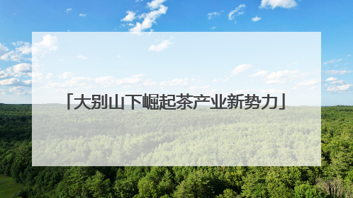 大别山下崛起茶产业新势力