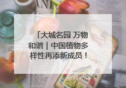 大城名园 万物和谐｜中国植物多样性再添新成员！它只在西藏墨脱