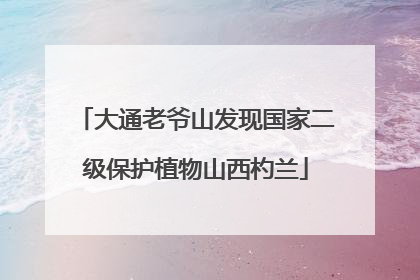 大通老爷山发现国家二级保护植物山西杓兰