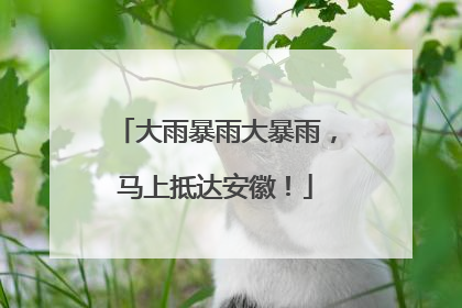 大雨暴雨大暴雨，马上抵达安徽！
