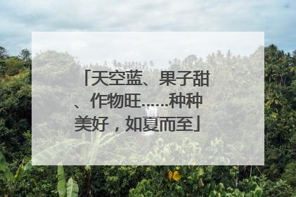 天空蓝、果子甜、作物旺……种种美好，如夏而至