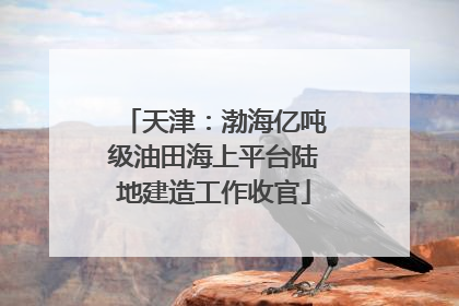 天津：渤海亿吨级油田海上平台陆地建造工作收官