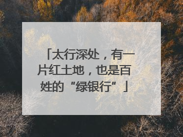 太行深处，有一片红土地，也是百姓的“绿银行”