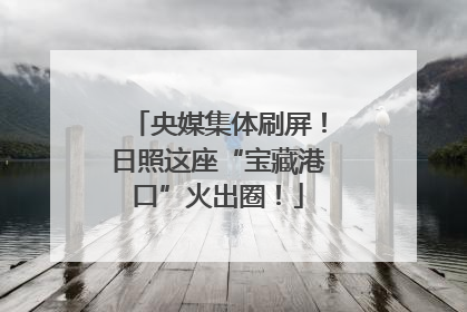 央媒集体刷屏！日照这座“宝藏港口”火出圈！