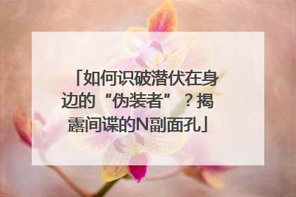 如何识破潜伏在身边的“伪装者”？揭露间谍的N副面孔