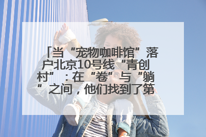 当“宠物咖啡馆”落户北京10号线“青创村”：在“卷”与“躺”之间，他们找到了第三种生活公式