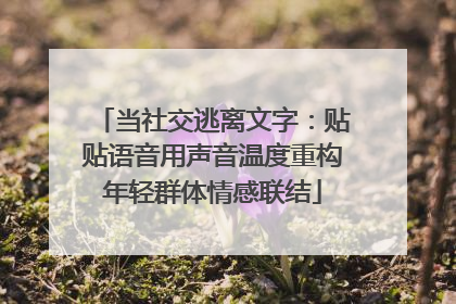 当社交逃离文字：贴贴语音用声音温度重构年轻群体情感联结