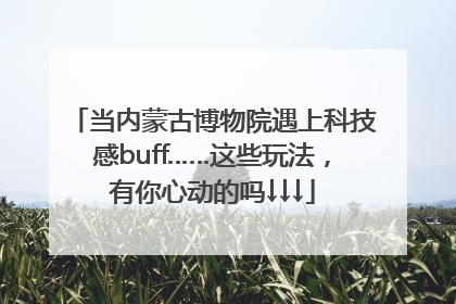 当内蒙古博物院遇上科技感buff……这些玩法，有你心动的吗↓↓↓