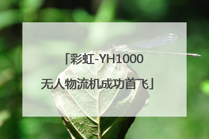 彩虹-YH1000无人物流机成功首飞