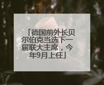 德国前外长贝尔伯克当选下一届联大主席，今年9月上任