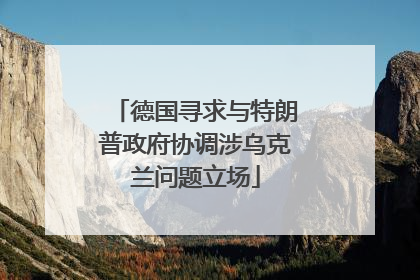 德国寻求与特朗普政府协调涉乌克兰问题立场