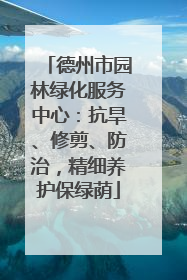 德州市园林绿化服务中心：抗旱、修剪、防治，精细养护保绿荫