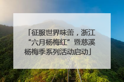 征服世界味蕾，浙江“六月杨梅红”暨慈溪杨梅季系列活动启动