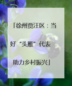 徐州贾汪区：当好“头雁”代表 助力乡村振兴