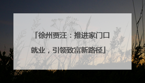 徐州贾汪：推进家门口就业，引领致富新路径