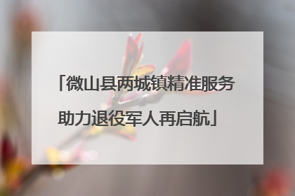 微山县两城镇精准服务助力退役军人再启航