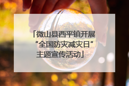 微山县西平镇开展“全国防灾减灾日”主题宣传活动
