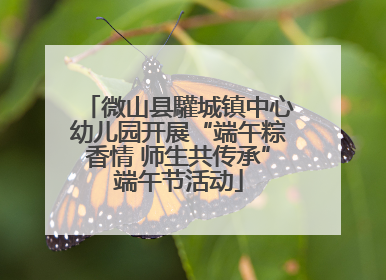微山县驩城镇中心幼儿园开展“端午粽香情 师生共传承”端午节活动