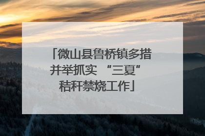 微山县鲁桥镇多措并举抓实 “三夏” 秸秆禁烧工作