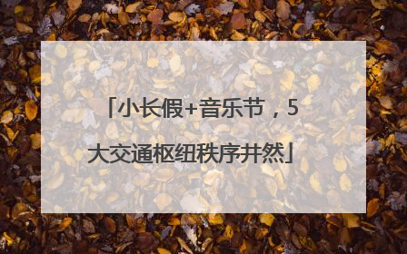 小长假+音乐节，5大交通枢纽秩序井然