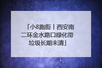 小8跑街丨西安南二环金水路口绿化带垃圾长期未清