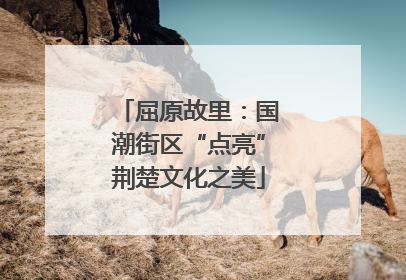 屈原故里：国潮街区“点亮”荆楚文化之美