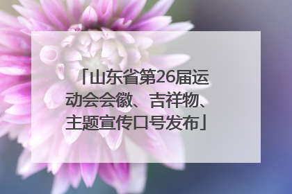 山东省第26届运动会会徽、吉祥物、主题宣传口号发布
