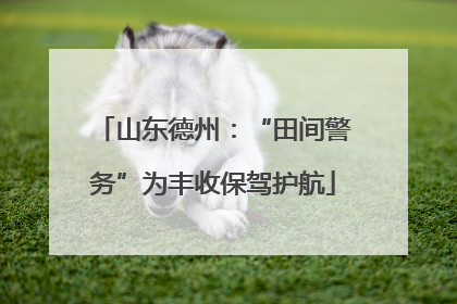 山东德州：“田间警务”为丰收保驾护航
