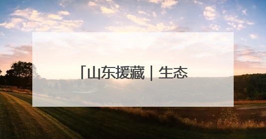 山东援藏｜生态援藏，戈壁滩上的“潍坊魔法”