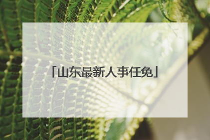 山东最新人事任免
