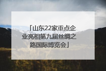 山东22家重点企业亮相第九届丝绸之路国际博览会