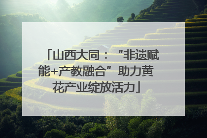 山西大同：“非遗赋能+产教融合”助力黄花产业绽放活力