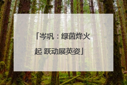 岑巩：绿茵烽火起 跃动展英姿
