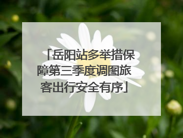 岳阳站多举措保障第三季度调图旅客出行安全有序