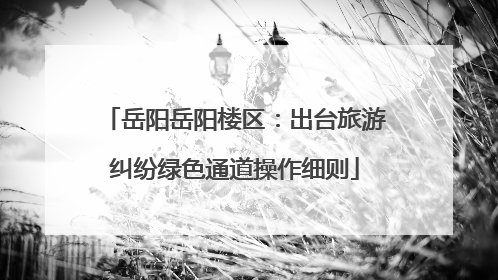 岳阳岳阳楼区：出台旅游纠纷绿色通道操作细则