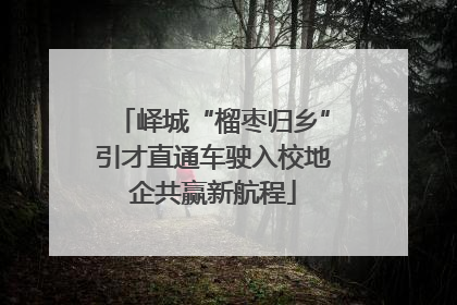 峄城“榴枣归乡”引才直通车驶入校地企共赢新航程