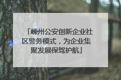 嵊州公安创新企业社区警务模式，为企业集聚发展保驾护航