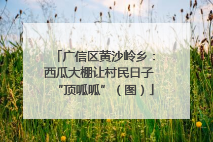 广信区黄沙岭乡：西瓜大棚让村民日子“顶呱呱”（图）