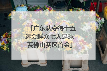 广东队夺得十五运会群众七人足球赛佛山赛区首金