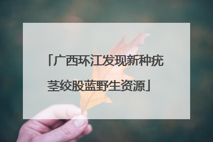 广西环江发现新种疣茎绞股蓝野生资源