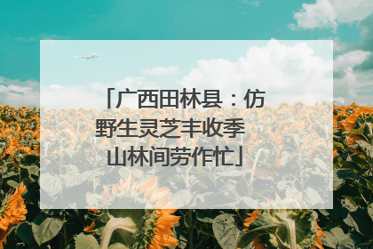 广西田林县：仿野生灵芝丰收季 山林间劳作忙